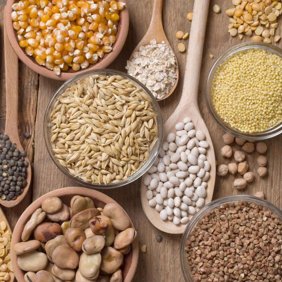 Food Grains